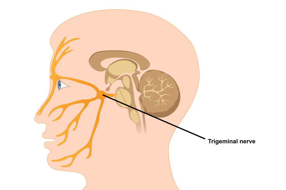 Diagrama nervului trigeminal